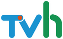 TVh logo