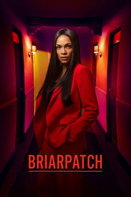 Briarpatch poster image