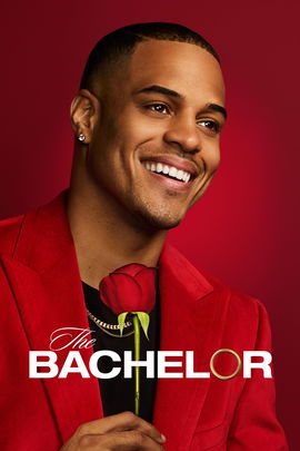 The Bachelor poster image