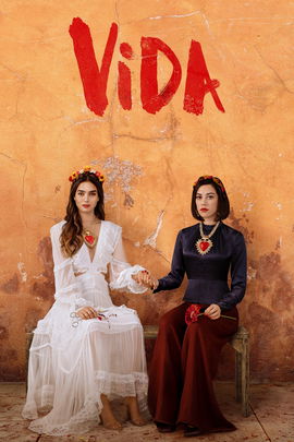 Vida poster image