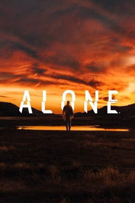 Alone poster image