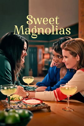 Sweet Magnolias poster image