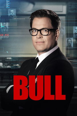 Bull poster image