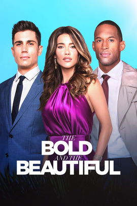 The Bold and the Beautiful poster image