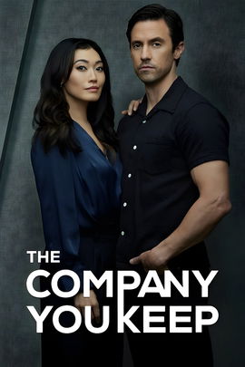 The Company You Keep poster image