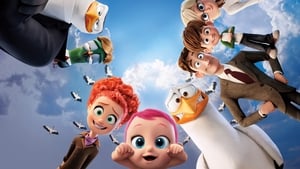 Storks cast