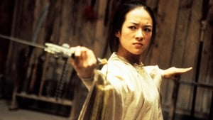 Crouching Tiger, Hidden Dragon cast