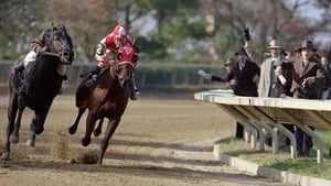 Seabiscuit cast