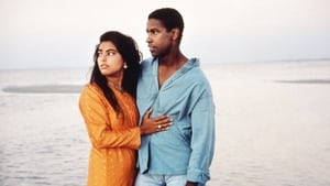 Mississippi Masala cast