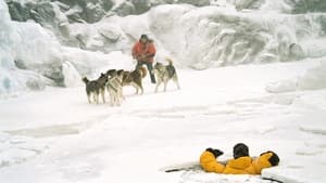 Eight Below cast