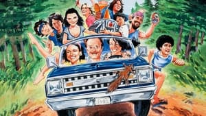 Wet Hot American Summer cast