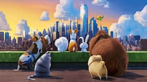 The Secret Life of Pets cast