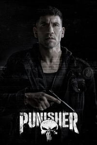 Marvel's The Punisher image