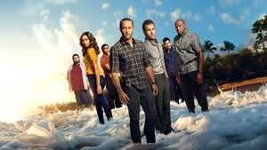 Hawaii Five-0 cast