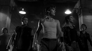 Rumble Fish cast