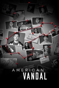 American Vandal image