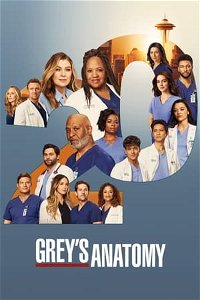 Grey's Anatomy image