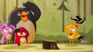 Angry Birds: Summer Madness image