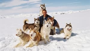 Eight Below cast