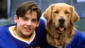 Air Bud: Golden Receiver cast