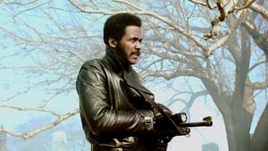 Shaft's Big Score! cast