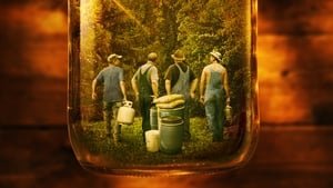 Moonshiners cast