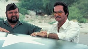 Cannonball Run II cast