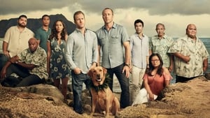 Hawaii Five-0 image