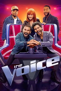 The Voice image