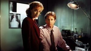 The X-Files cast