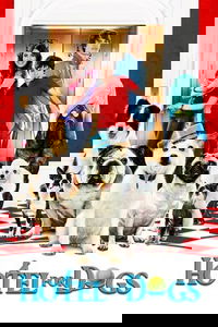 undefined image