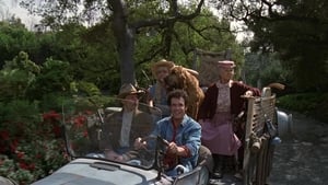 The Beverly Hillbillies cast