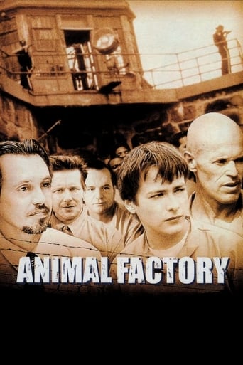 Animal Factory poster image