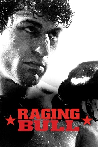 Raging Bull poster image