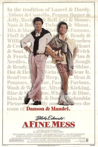 A Fine Mess poster image