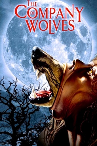 The Company of Wolves poster image