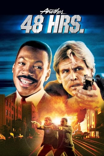 Another 48 Hrs. poster image