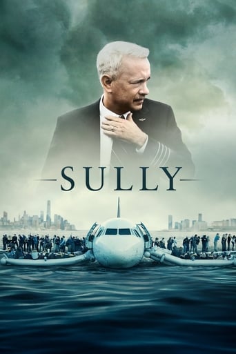 Sully poster image