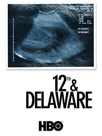 12th & Delaware poster image