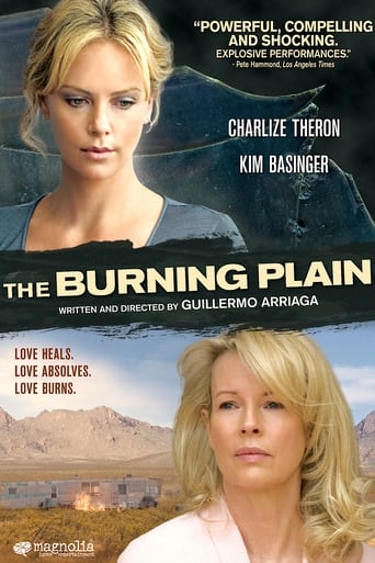 The Burning Plain poster image