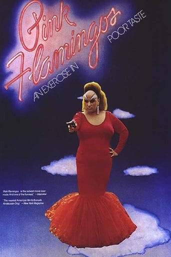 Pink Flamingos poster image