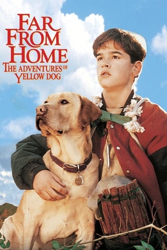 Far from Home: The Adventures of Yellow Dog poster image