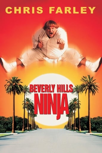 Beverly Hills Ninja poster image