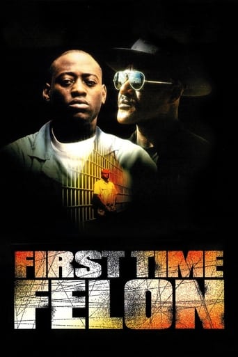 First Time Felon poster image