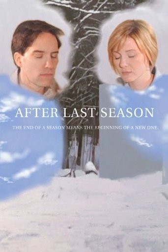 After Last Season poster image