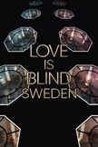 Love Is Blind: Sweden poster image