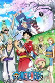 One Piece poster image