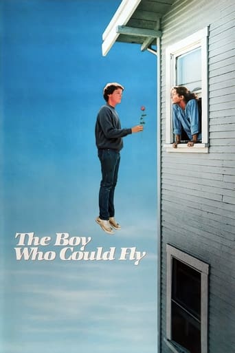 The Boy Who Could Fly poster image