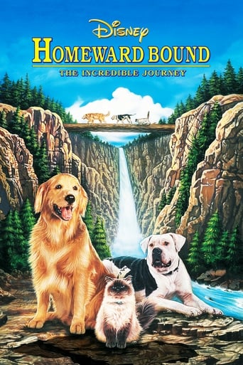 Homeward Bound: The Incredible Journey poster image