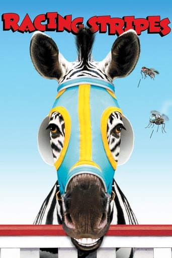 Racing Stripes poster image